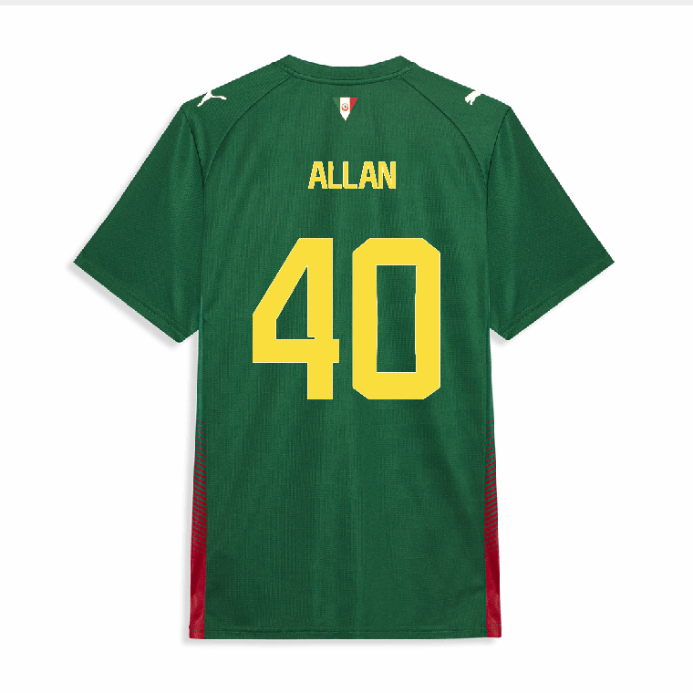 Palmeiras Home ALLAN 40 Jersey 26-27 - Green