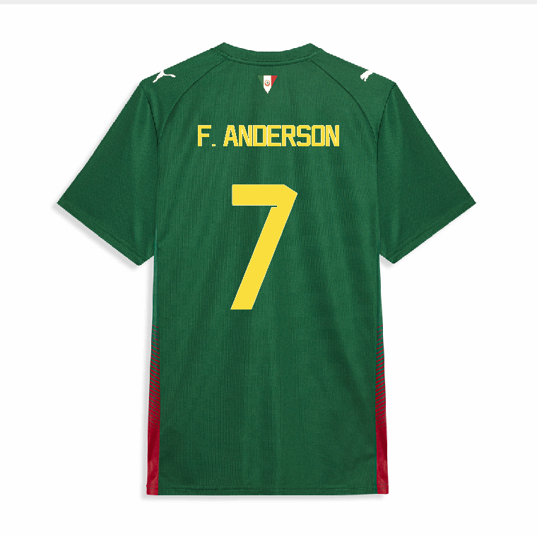 Palmeiras Home F. ANDERSON 7 Jersey 26-27 - Green