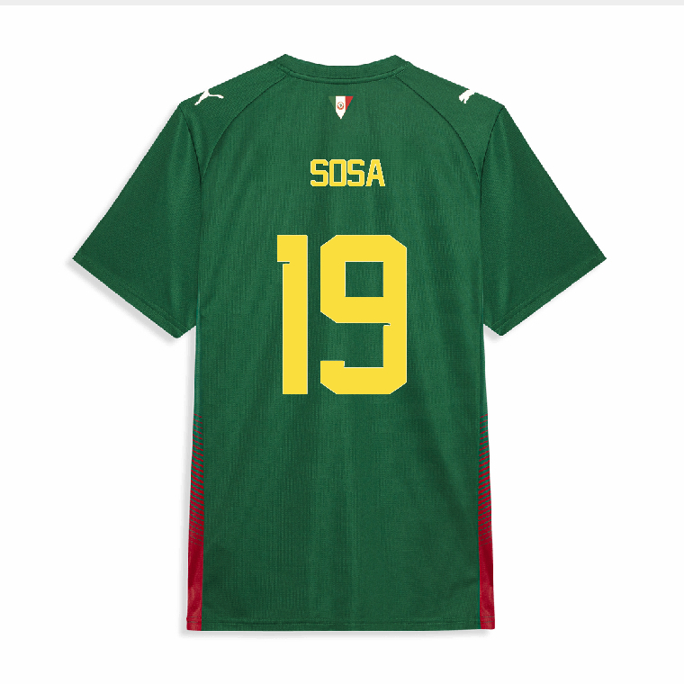 Palmeiras Home SOSA 19 Jersey 26-27 - Green